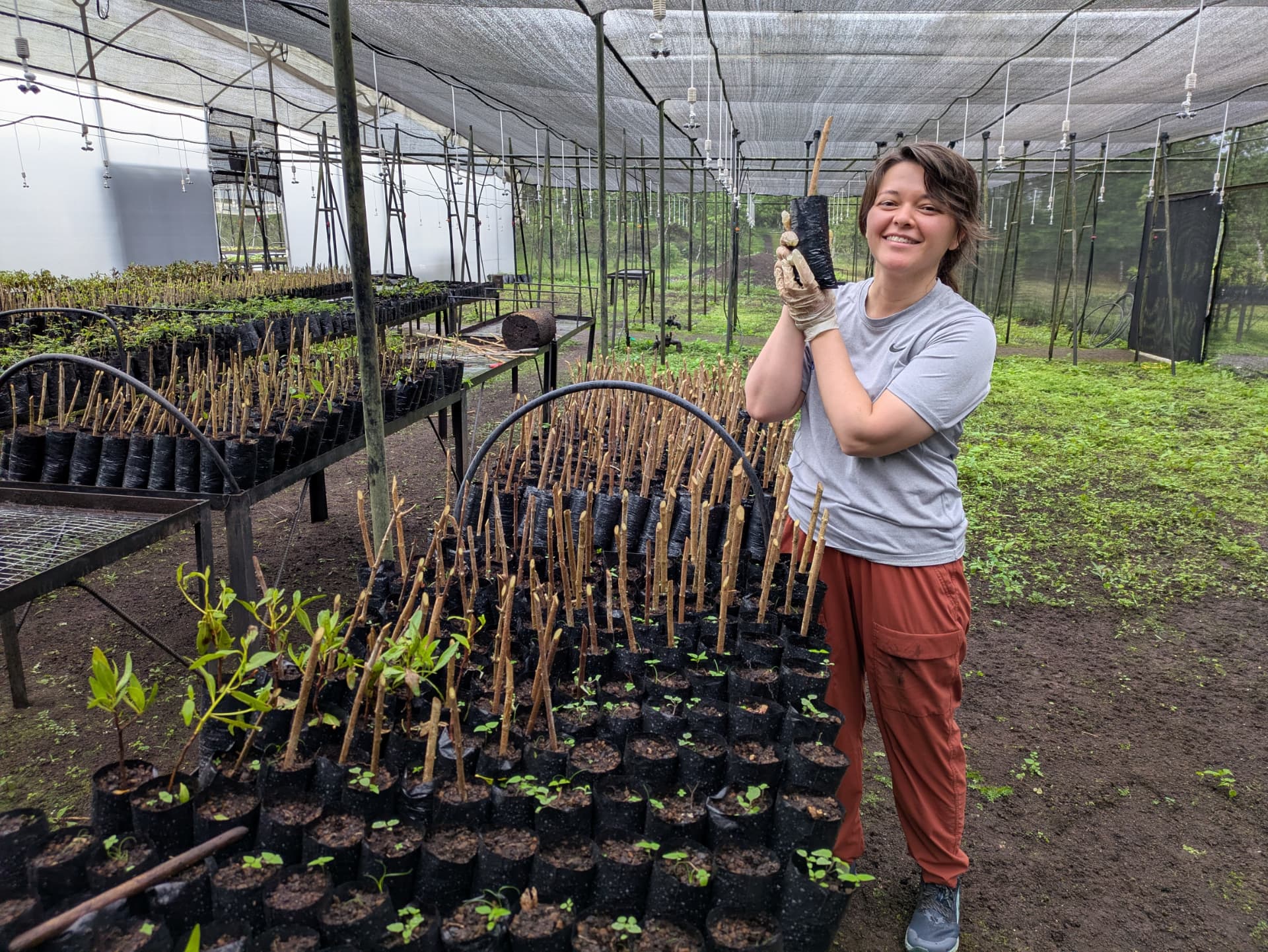 Emily working in a plant nursery in the Galápagos