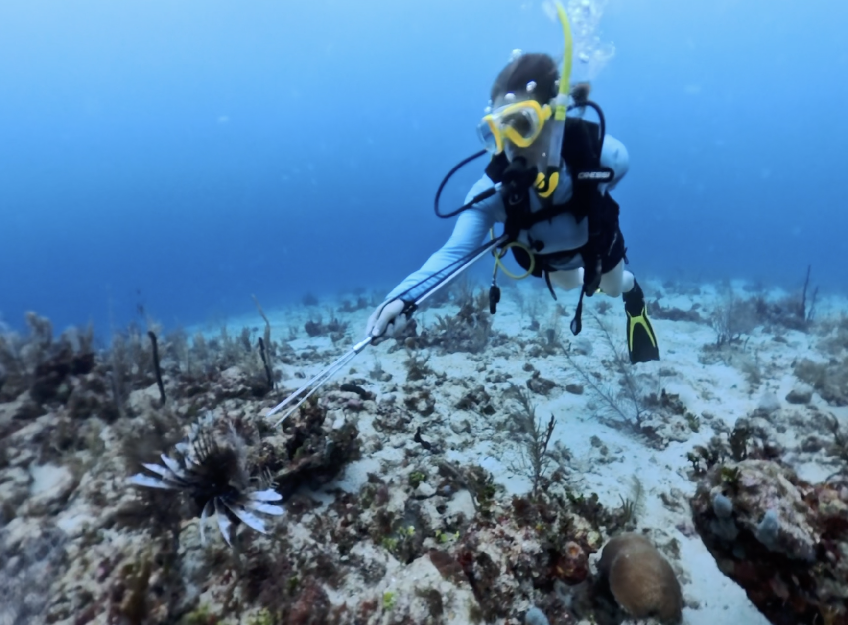 Chelsea volunteering in Belize